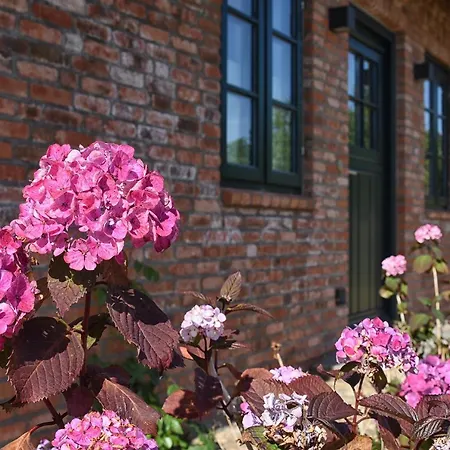 Ferienhaus Buurnstrat 72a _ Haus Foehrliebe Risum-Lindholm
